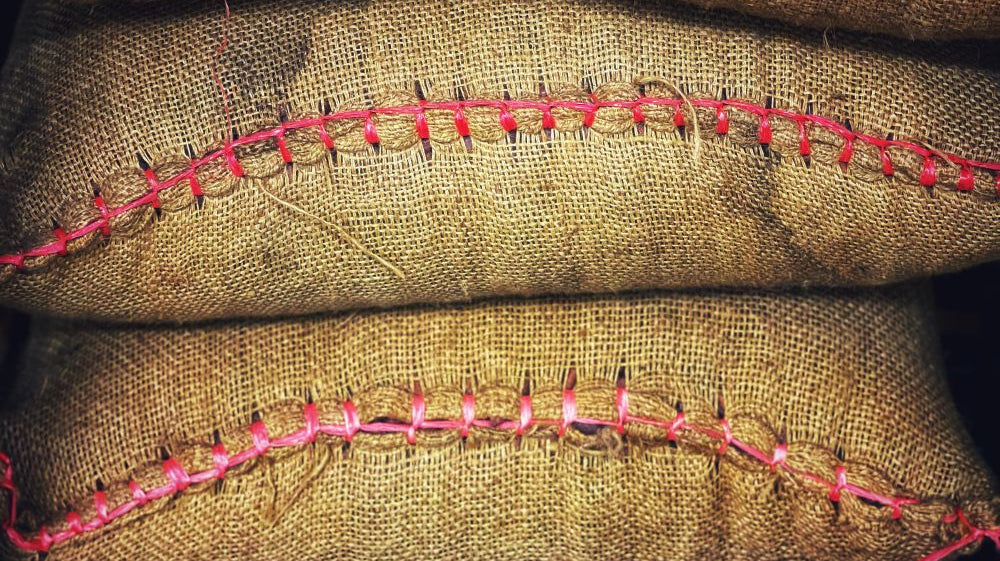 picture of cacao in sacks
