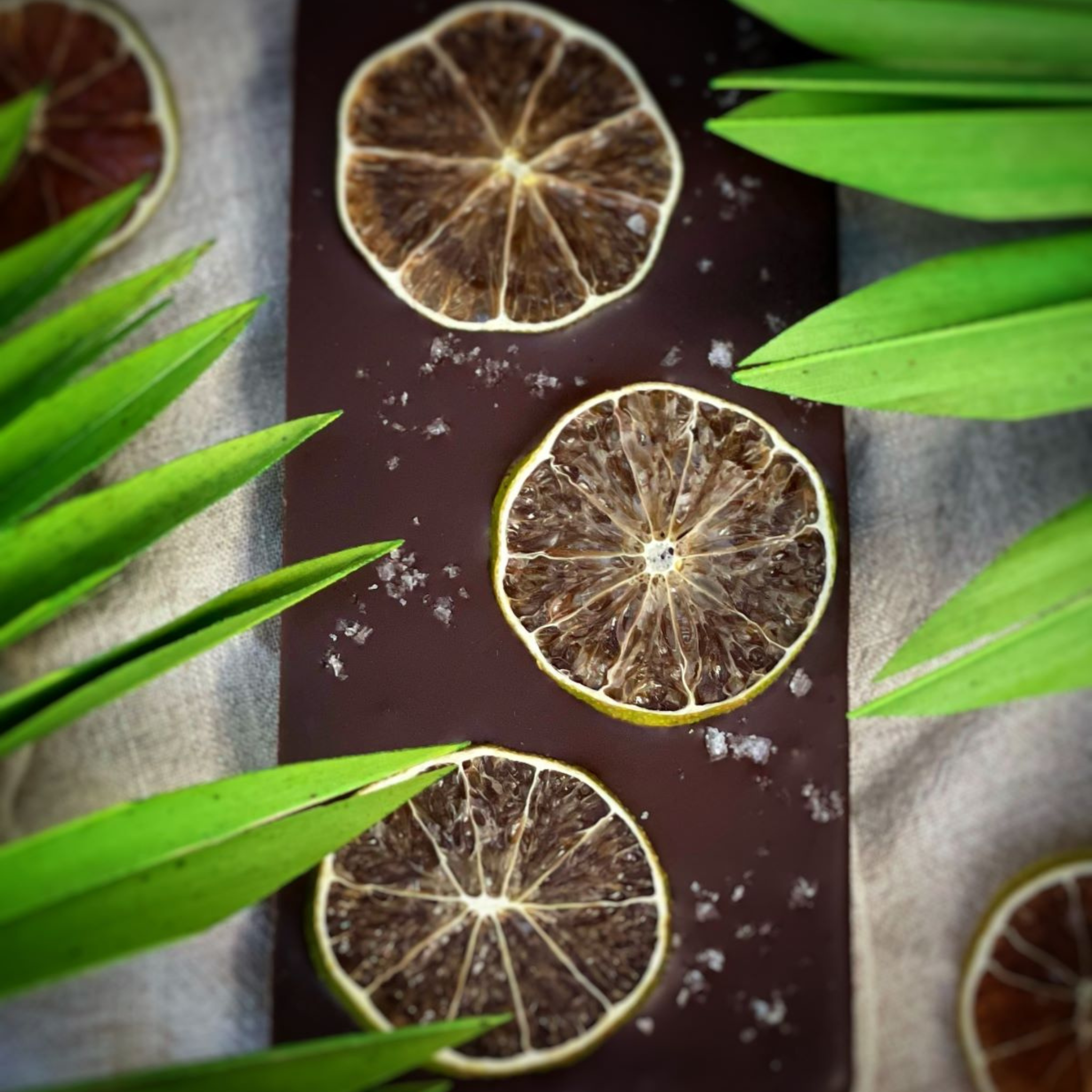 Dark chocolate bar topped with dried lime slices and sea salt flakes, surrounded by tropical green leaves on a fabric surface."