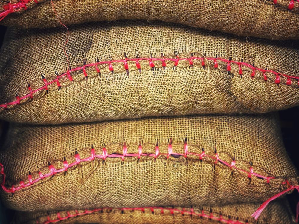 picture of cacao in sacks