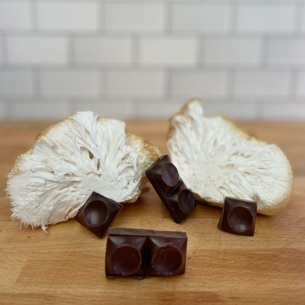 Cacao Paste with Mushrooms • Organic Nibs Blend – Moksha Chocolate