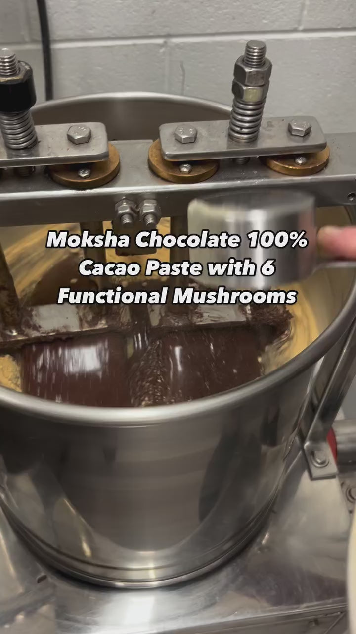 Cacao Paste with Mushrooms • Organic Nibs Blend – Moksha Chocolate